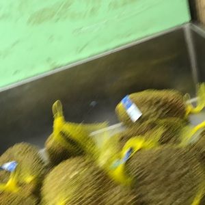 Meet your Posher, Joceleen